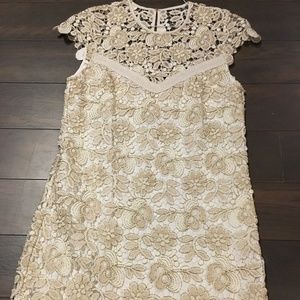 New Saylor Lace Dress